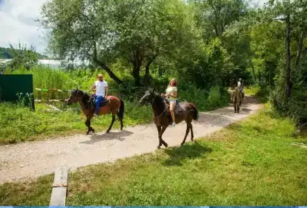 Водолей - 56