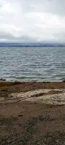 Лесные эльфы - 24