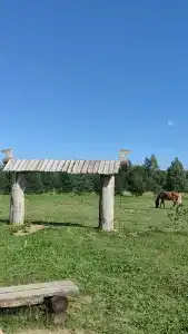 Лошадкино - 71