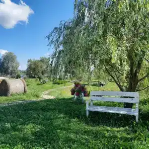 Клёвое место - 36