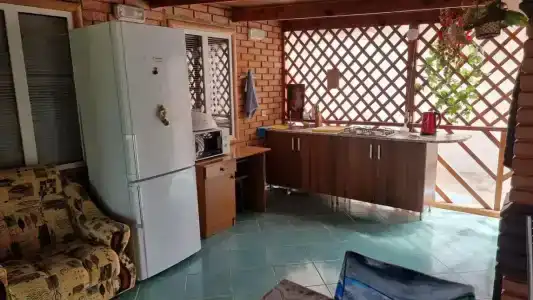 Тюльпан - 25
