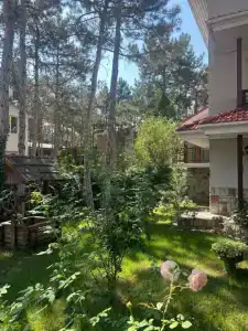 Эримар - 9
