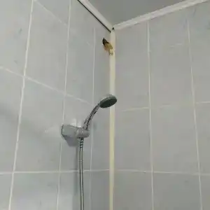 Адмирал - 46