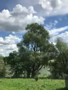 Место Встречи - 36