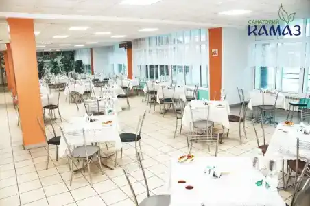 КАМАЗ Саулык - 24