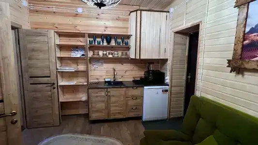 Багира - 39