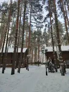 Чайка - 48