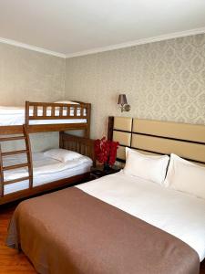 King David Bakuriani - 3