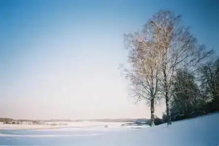 Эрцог - 9