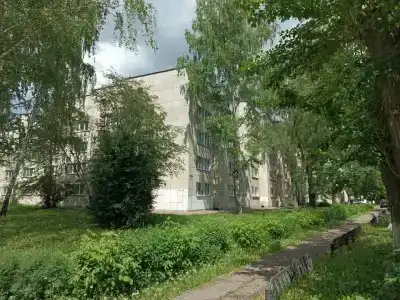 КАМАЗ - 10