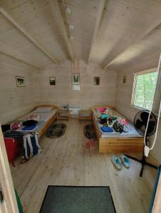 Эколоджия - 57