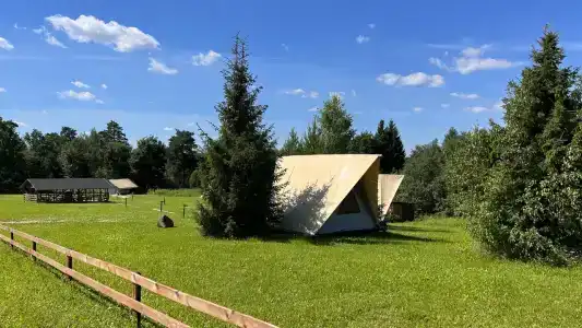 Российские альпаки - 2