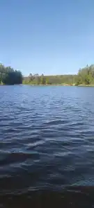 Васильево - 24