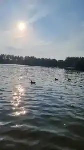 Остров - 35