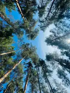 МореОстров - 91