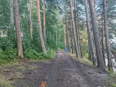 Парус - 49