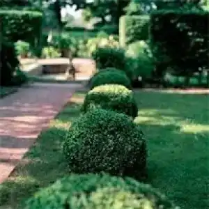 Villa Sorgenfrei & Restaurant Atelier Sanssouci - 24