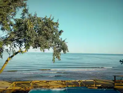 Амбассадор - 89