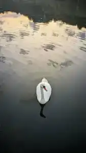 Агроусадьба Беловежская Гостевая - 22