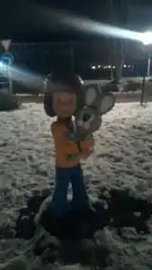 Ной - 20
