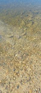 Заимка Узалы - 71