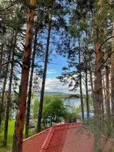 Дружба - 45
