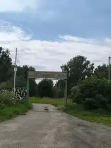 Зотино - 39