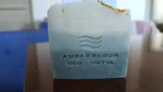 Амбассадор - 88