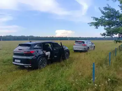 12 Дубов - 35