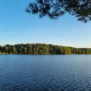 Абракадабра - 86