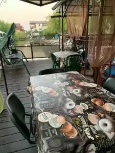 Магнолия - 15