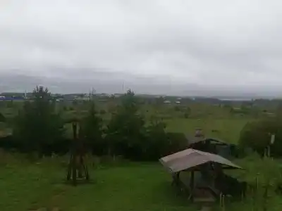 Конная база в Михайловском - 49