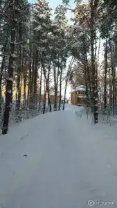 Введенский - 12