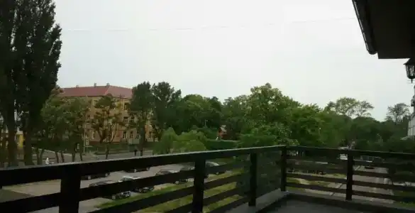 Стрекоза - 27