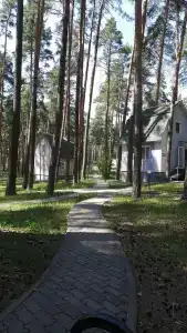 Берендей - 47