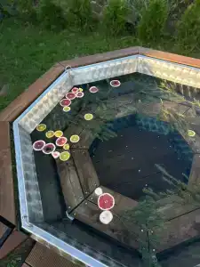 Пенеснарь - 36