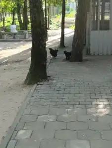 Надзея - 59