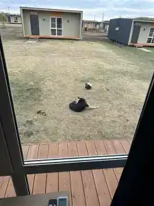 Рыбаградъ - 93