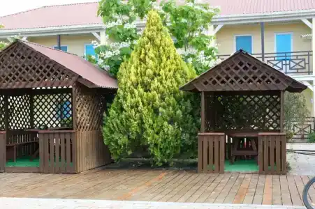 Салют Беляус - 6