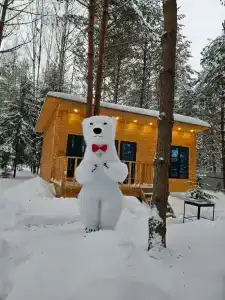 Лесная сказка - 57