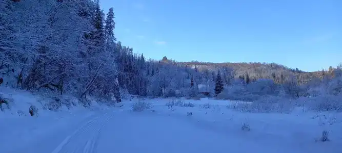 Хижина Шамана - 38