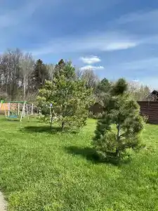 Финская деревня - 61