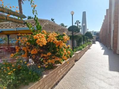 Bel Air Azur Resort (Adults Only) - 42