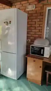 Тюльпан - 36