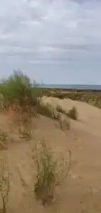 Аджи-Папас - 19