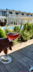 Горгиппия - 15