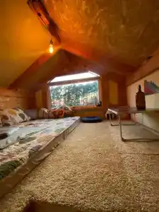 Смородина - 6