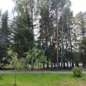 Лесная сказка - 2