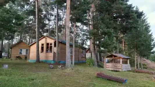 Друг - 26