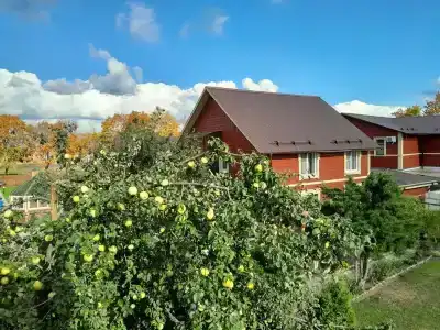 Волшебный Сад - 31